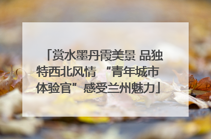 赏水墨丹霞美景 品独特西北风情 “青年城市体验官”感受兰州魅力